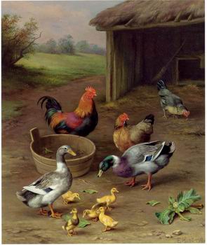 poultry  147